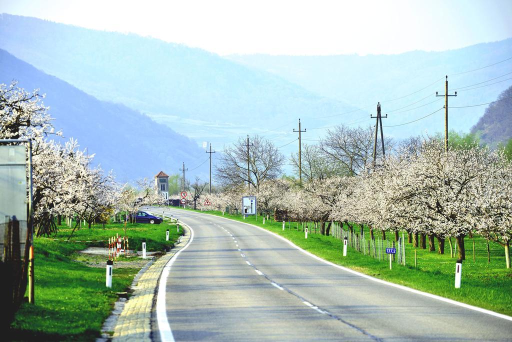 Landhaus Wachau Aggsbach エクステリア 写真
